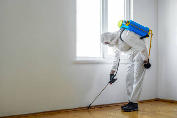 Best Pest Prevention Services  in Joshua Tree, CA